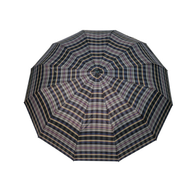 Зонт RS12СН-3 с серыми спицами